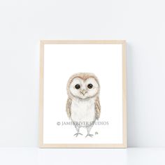 an owl is shown in this watercolor painting