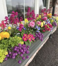 colorful flowers are growing in the window sill