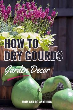 some green pears and purple flowers in a wooden barrel with text overlay how to dry gourds garden decor