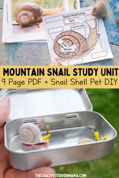 a small metal container filled with snails and other items