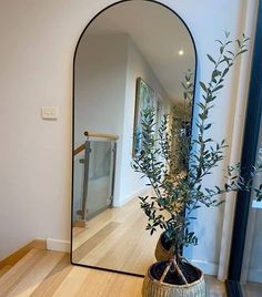 a potted plant sitting on top of a wooden floor next to a large mirror