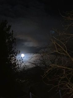 the full moon shines brightly in the dark night sky over some trees and bushes