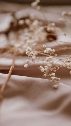 some white flowers sitting on top of a bed