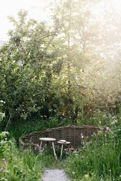 two wooden benches sitting in the middle of a garden