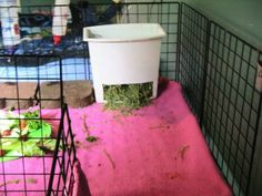 a caged in area with food and other items on the floor, including a pink rug