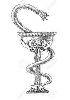 a snake wrapped around a vase in the shape of a letter s, vintage line drawing or engraving