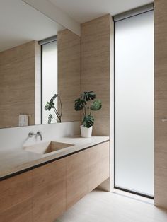 a bathroom with two sinks and a plant in the corner on the counter next to it