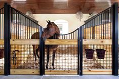 a horse is standing in its pen at the stable with his head over the gate