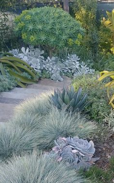 an assortment of plants and shrubs in a garden