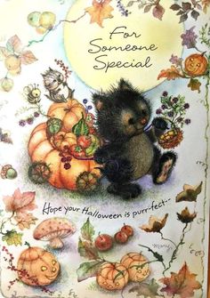 a greeting card with a kitten and pumpkins on the front, says for someone special hope your halloween is perfect