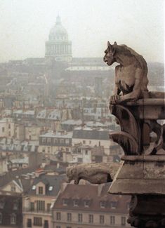 a gargoyle statue on top of a building with a city in the background