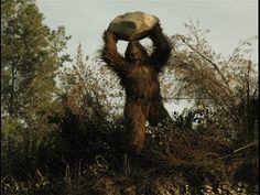 a big furry animal carrying a rock on its back