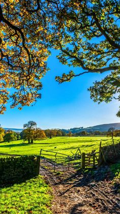 an open field with a fence and trees in the foreground, on a sunny day