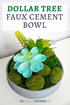 the dollar tree faux cement bowl is filled with moss and flowers for an easy diy project