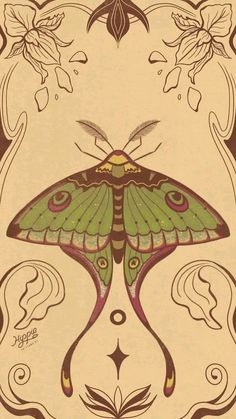 a drawing of a green butterfly on a beige background