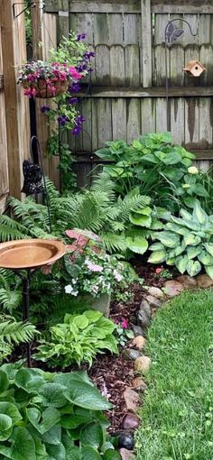 a garden with lots of green plants and flowers in the grass next to a wooden fence