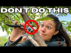 a woman holding scissors up to a tree with the words don't do this