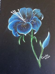 a drawing of a blue flower on a black background