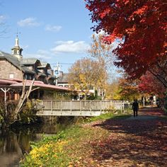 a man walking down a path next to a river in the middle of autumn with trees lining both sides