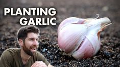 a man sitting on the ground next to a garlic plant with text that reads planting garlic