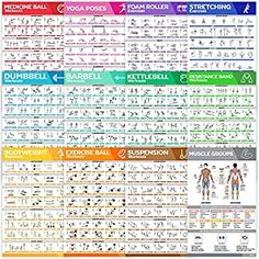 an exercise chart with the names and numbers for each type of body, including exercises