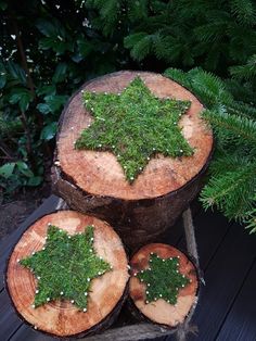 three pieces of wood that have been cut into smaller pieces with moss growing on them