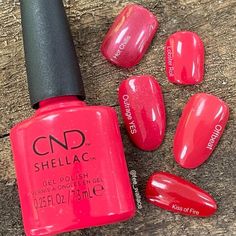 Cnd Red Shellac Colors, Cnd Shellac Red Colors, Cnd Shellac Cherry Apple, Cnd Shellac Wooded Bliss, Cnd Shellac Dark Lava, Lobster Roll, Beauty Nails, Fashion Nails