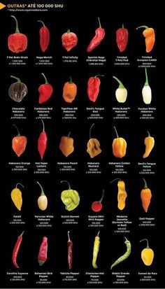 an image of different types of peppers