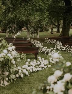 several wooden benches sitting in the middle of a park with white flowers growing on them