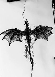 a drawing of a bat hanging upside down