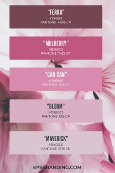 pink flowers with the names of each flower and their meanings in different fonts on them