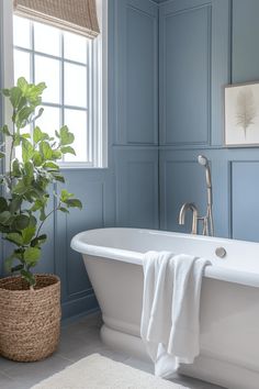 a white bath tub sitting next to a green plant in a room with blue walls