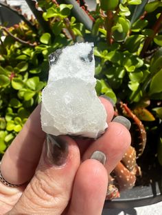 Druzy Quartz Properties: Amplifies energy, promotes natural healing on a physical, mental, and spiritual level. Chakra: Depends on color Zodiac: All signs Color and Appearance: Sparkling crystal over a colorful mineral