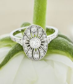 a diamond ring sitting on top of a white flower