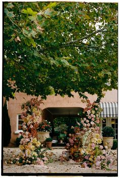 an outdoor area with flowers and plants on the ground near a tree in front of a building