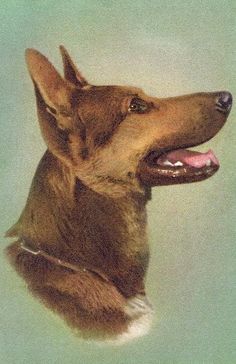 a painting of a dog with its mouth open