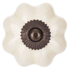 an image of a white flower with brown center piece on it's side, isolated against a white background