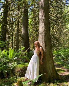 a woman in a white dress leaning against a tree with ferns on the forest floor