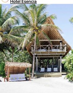 the cover of down mexico way magazine, featuring an image of a hut and palm trees