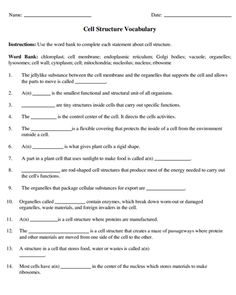 the cell structure worksheet is shown in this document, which shows an image of cells