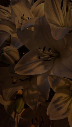 some white flowers that are in the dark