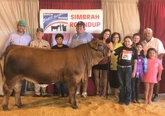 a group of people standing next to a brown cow on top of a dirt field