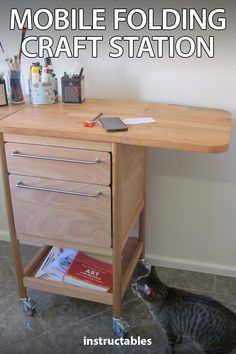 a cat sitting on the floor next to a wooden table with drawers and writing utensils