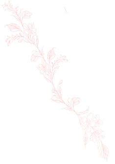 the corner of a white paper with pink flowers and leaves on it, as well as a line drawing