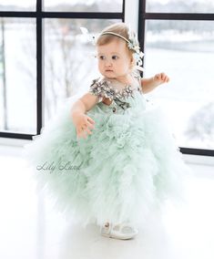 Sage Green First Birthday, Green First Birthday, Ball Gown Floral, Lace Baby Dress, Tutu Flower Girl Dress, Fairy Princess Costume, Baby Lace Dress, First Birthday Dress, Baby Birthday Dress