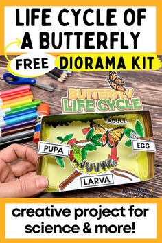 the life cycle of a butterfly diorama kit is shown in front of a wooden table with markers and crayons