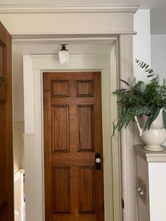 an entryway with a potted plant on the door