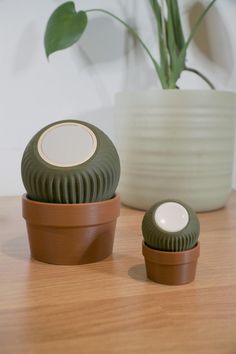 two green and white containers sitting on top of a wooden table next to a potted plant