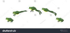 three green frogs floating in the air with their legs spread out, and one frog is jumping