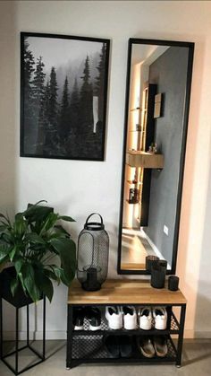 a room with a mirror, potted plant and other items on the floor in front of it